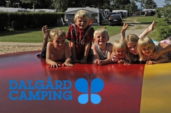 Gelegen aan een van de beste en meest kindvriendelijke stranden van Djursland, omringd door prachtige natuur, vormt onze rustige familiecamping de ideale plek waar ouders en kinderen samen van een heerlijke vakantie genieten.
